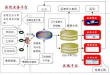 基于商业智能系统的区域卫生信息共享云平台设计方法(下)-HIT专家网