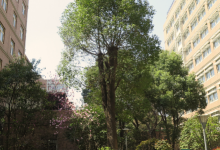 苏北人民医院:搭建为患者服务的“门户网站”-HIT专家网