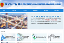 国家医保局试运行“医疗保障信息业务编码标准数据库动态维护”窗口-HIT专家网