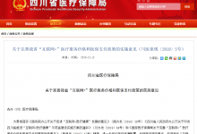 四川省公布第一批“互联网+”医疗服务项目试行价格和医保支付政策-HIT专家网