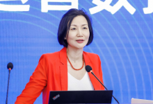 望海康信段成卉:20年只为守候医院精益管理-HIT专家网